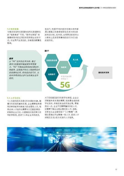 德勤咨詢數字化全球商業服務中心在中國的經濟與商務信息咨詢服務
